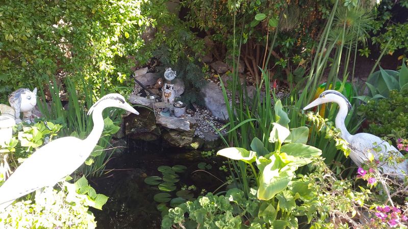 Construccion de Cascadas y fuentes | Podas y Jardines Mallorca